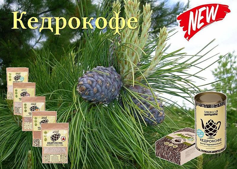 Kedrokofe_2